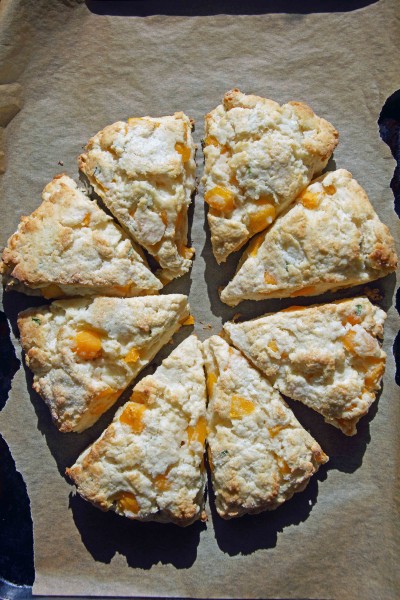 Apricot Scones