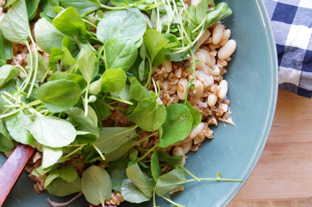 Farro Salad with Tuna, Cannellini Beans & Watercress strawberryplum
