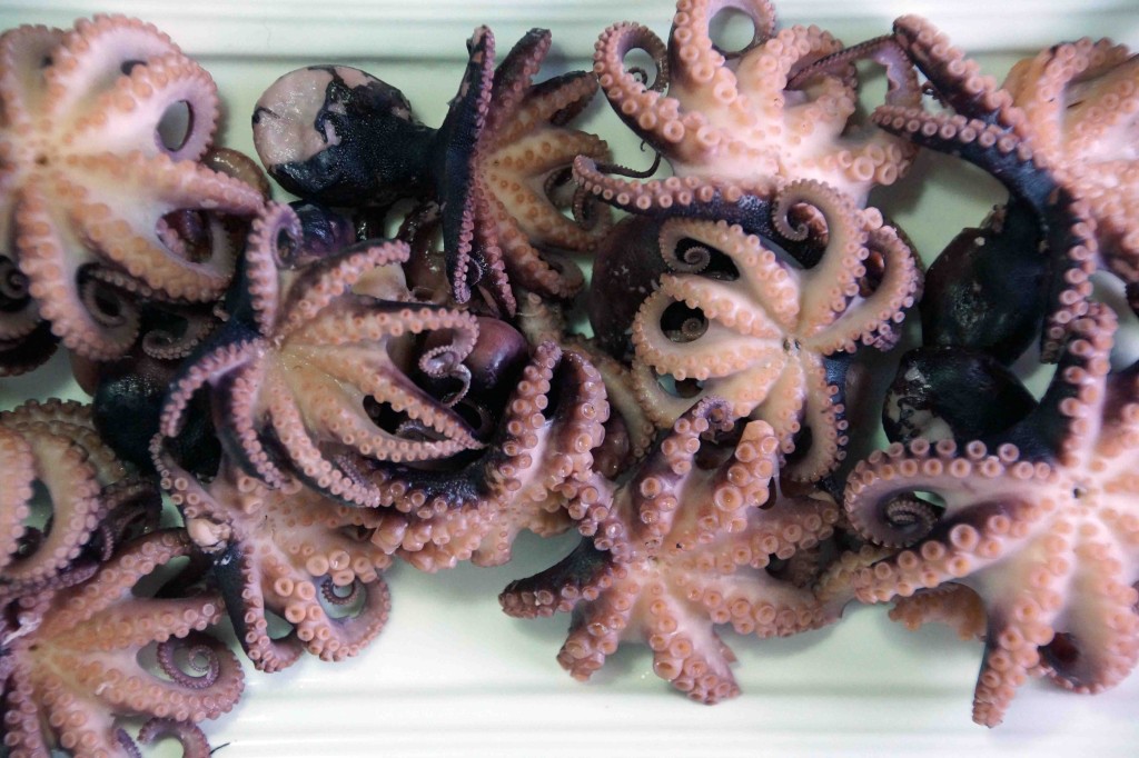 Cooked Baby Octopus strawberryplum