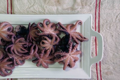 Cooked Octopus