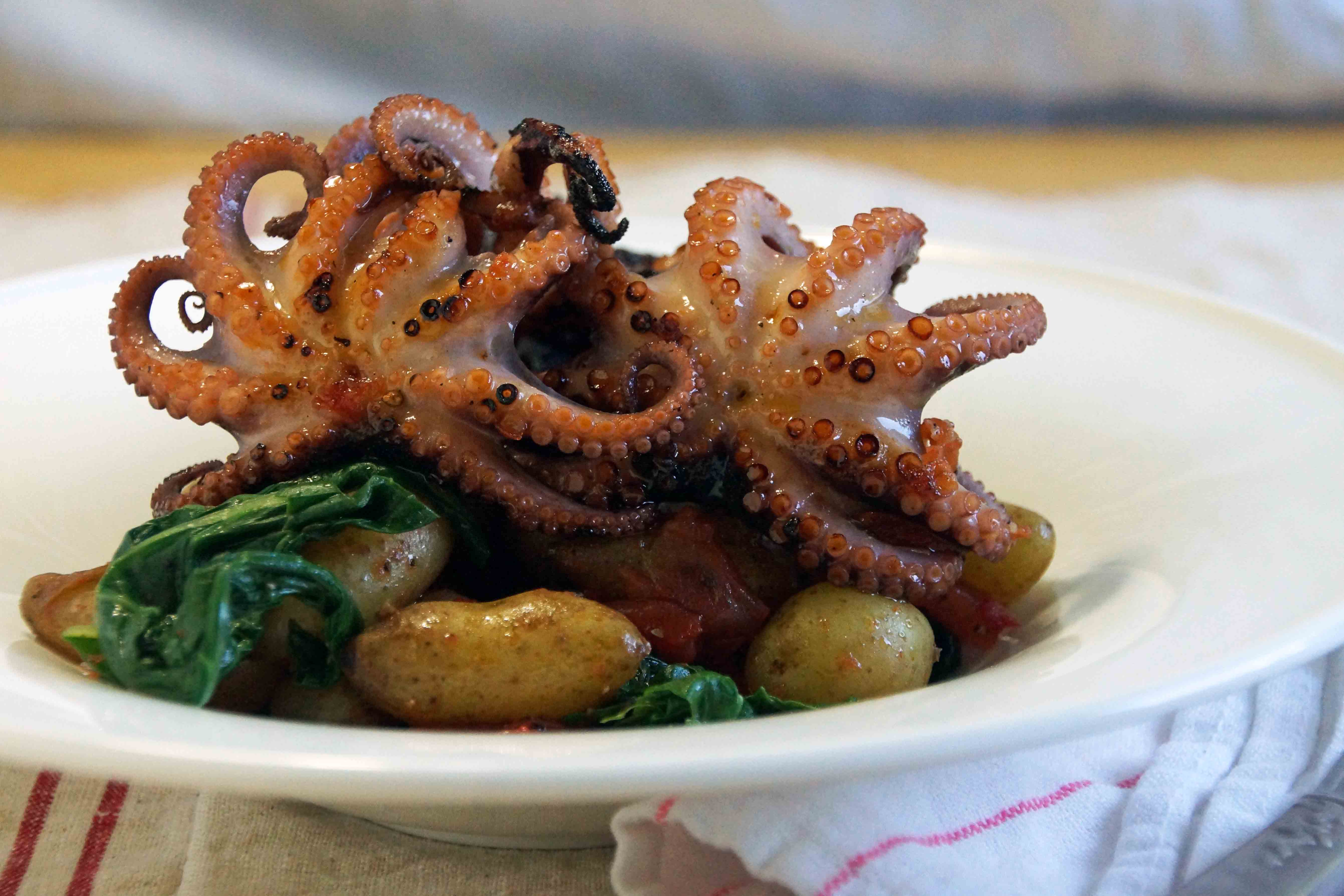 Grilled Baby Octopus with Tomato Confit, Potatoes & Chard strawberryplum
