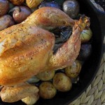 Roasted Chicken & New Potatoes with Apple Cider Pan Sauce